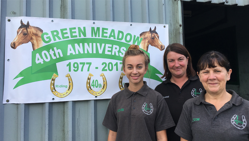 Horse Care apprentice at Green Meadows