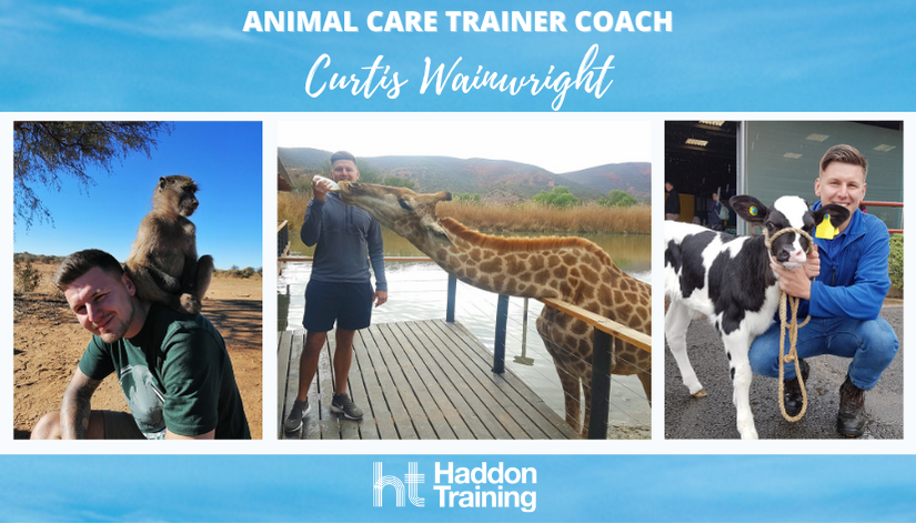 Animal care Trainer Coach Curtis with a variety of different animals