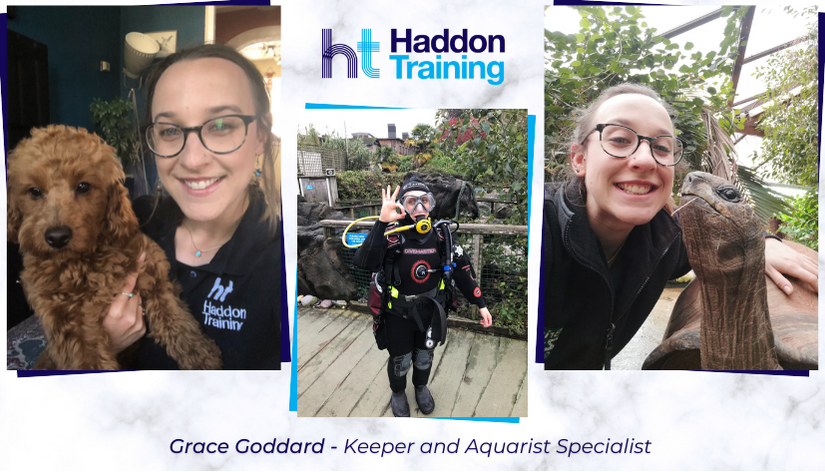 We ensure that all our Trainer Coaches have true life experience in their areas of expertise, Grace Goddard shares her experience.