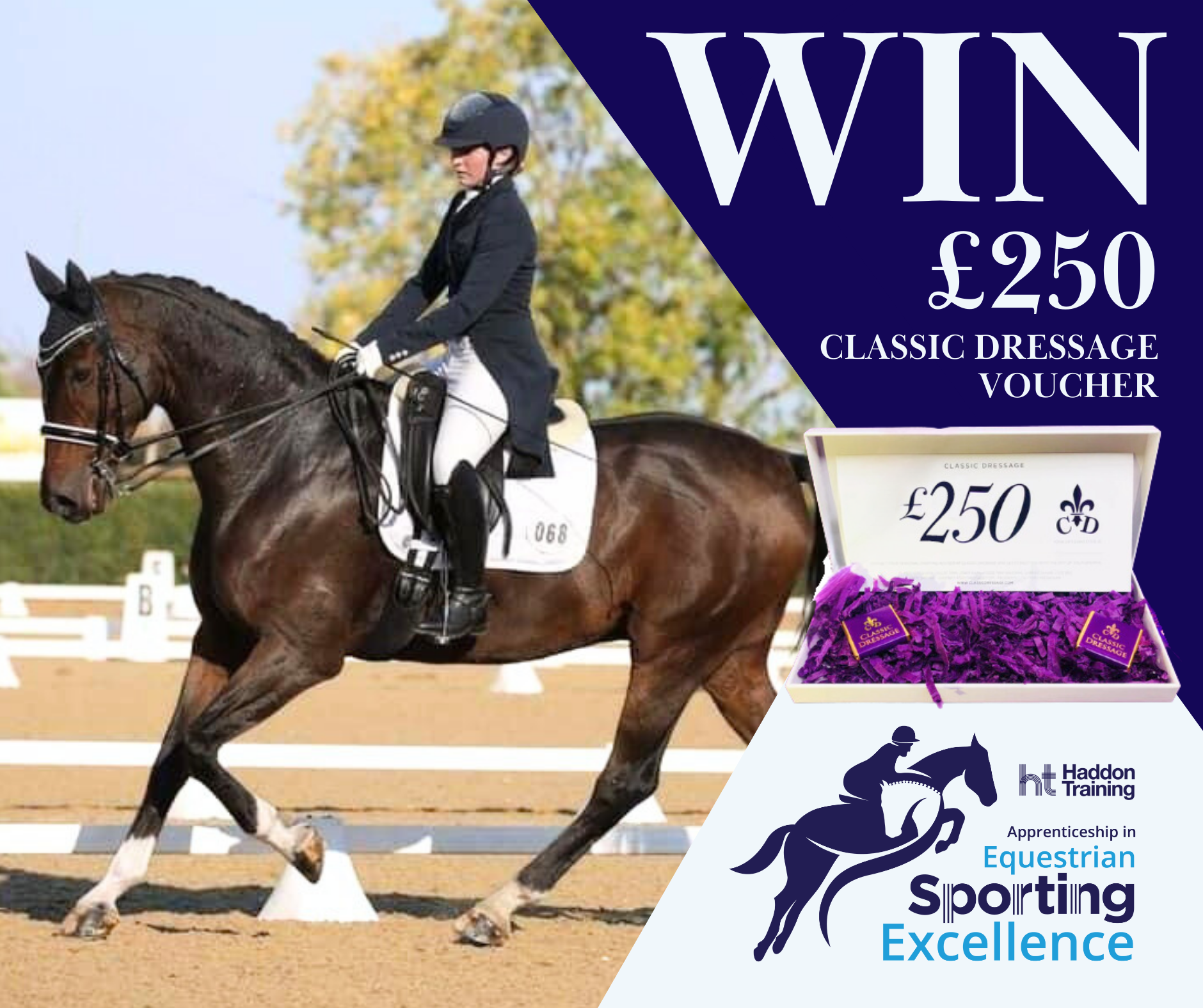 CLOSED Competition T&C’s: £250 Classic Dressage Voucher Giveaway
