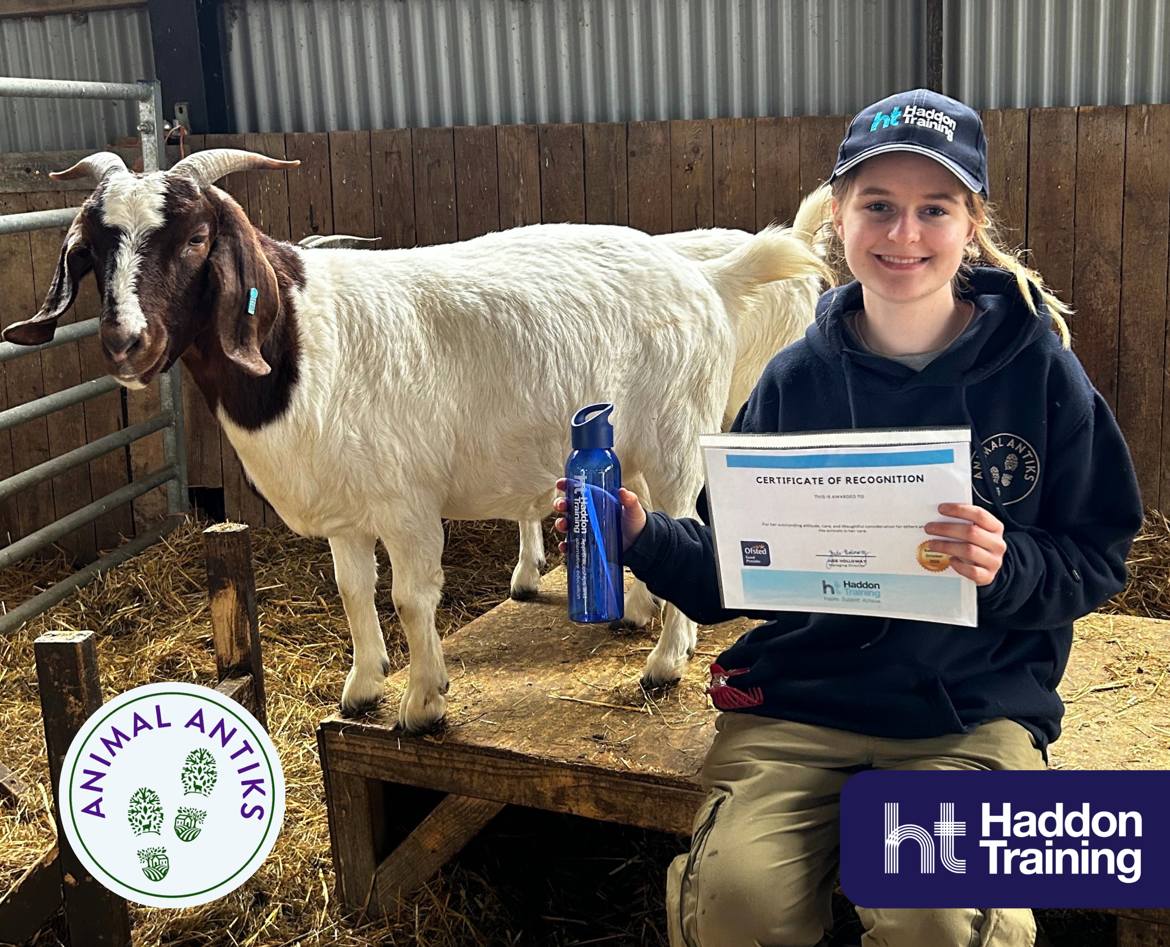 Celebrating Learner Success: Siouxsie at Animal Antiks