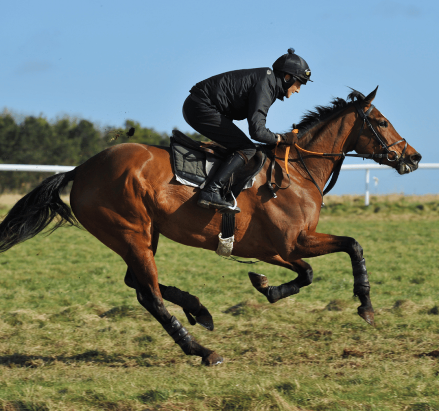 Business Development Executive &#8211; Horse Racing