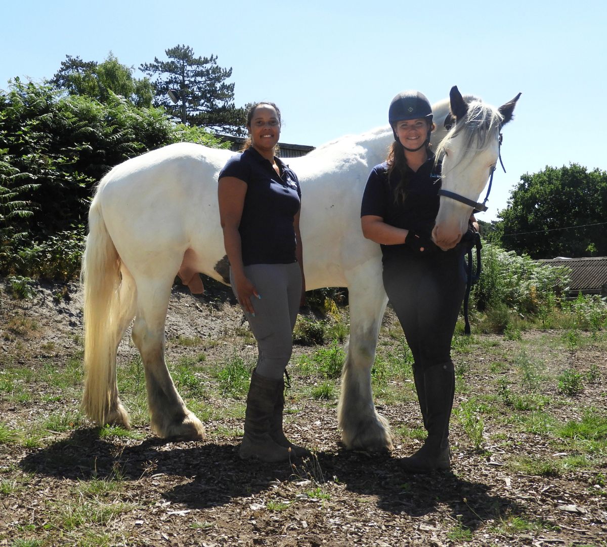 Equine Trainer Coach