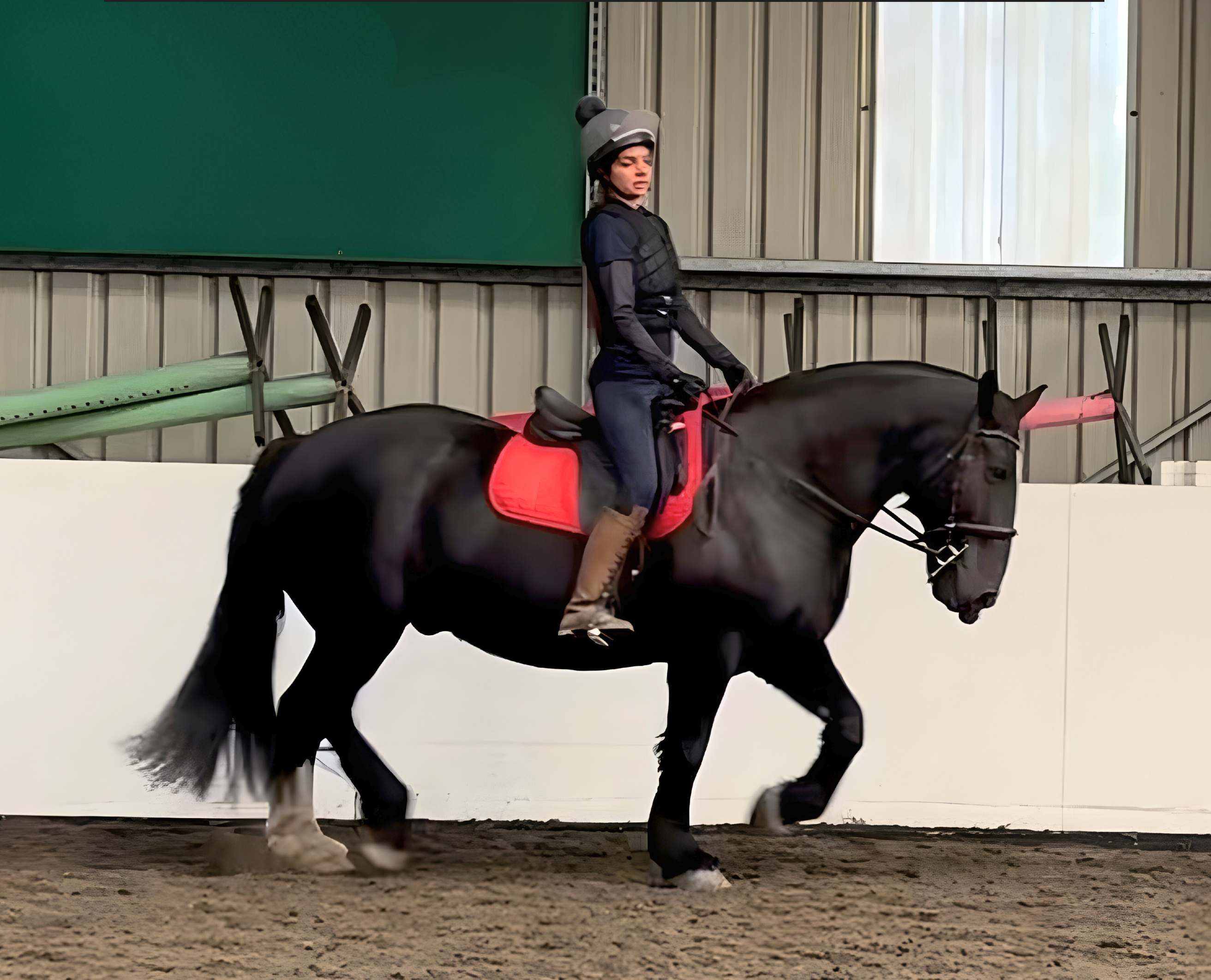 Lucy’s Equine Groom Journey at Pinkmead Equestrian