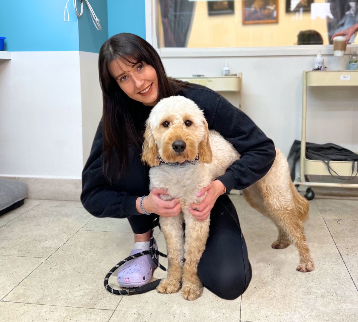 Dog Groomer/Animal Care Trainer Coach