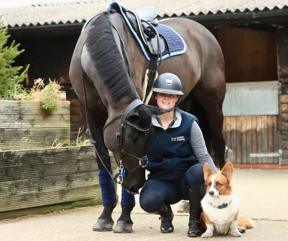 Equine and Animal Care Trainer Coach