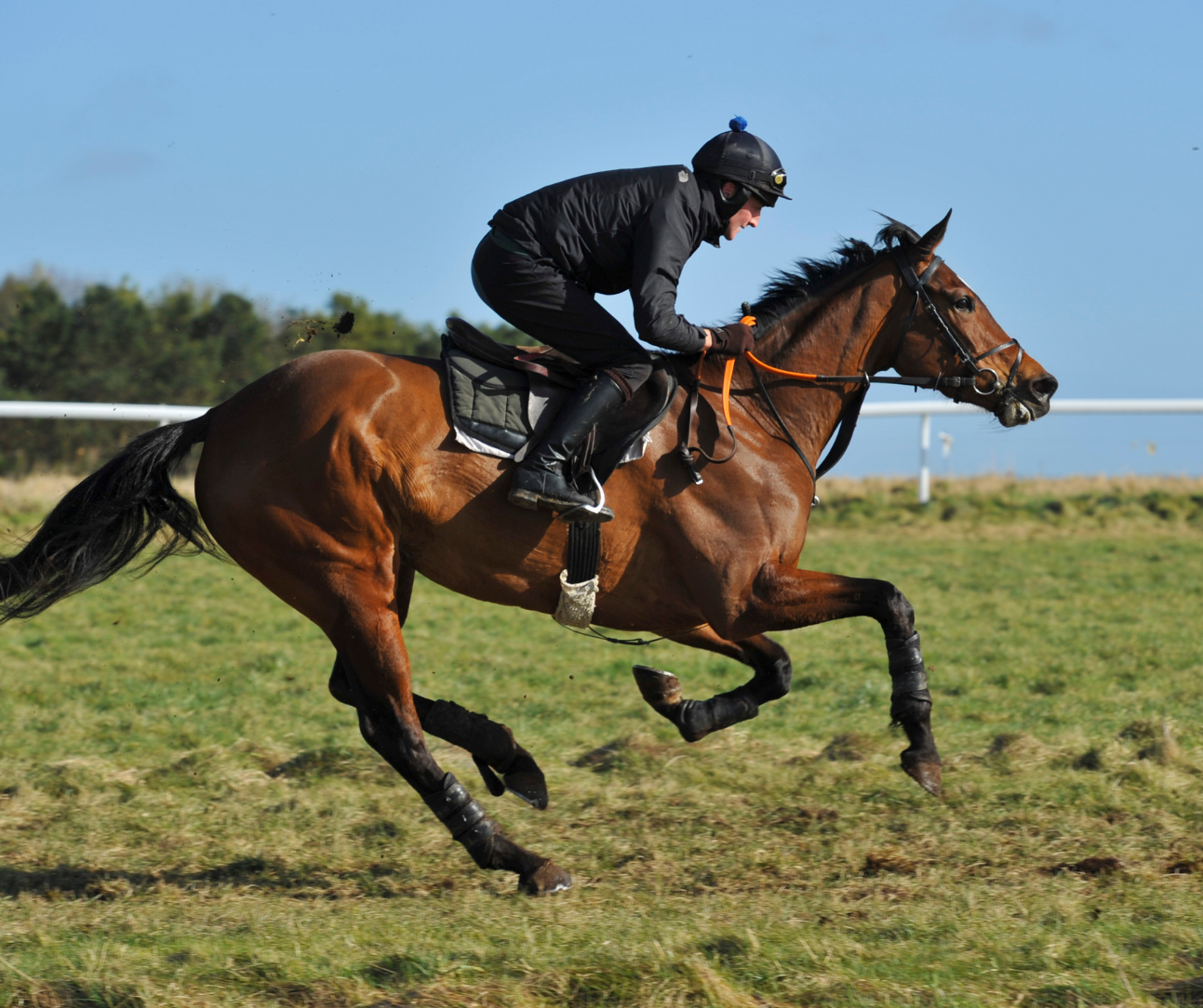 Racing Trainer Coach