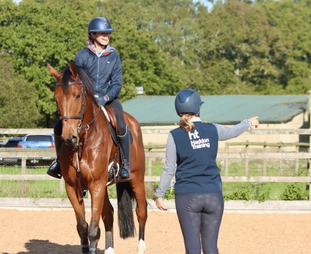 Associate Project Manager in equine or animal care