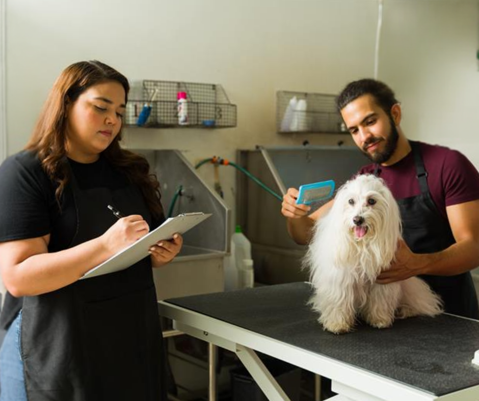 Business Administrator in Animal Care