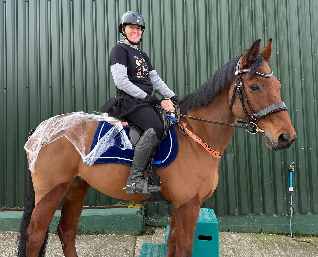 Sophie’s Successful Journey to Senior Equine Groom