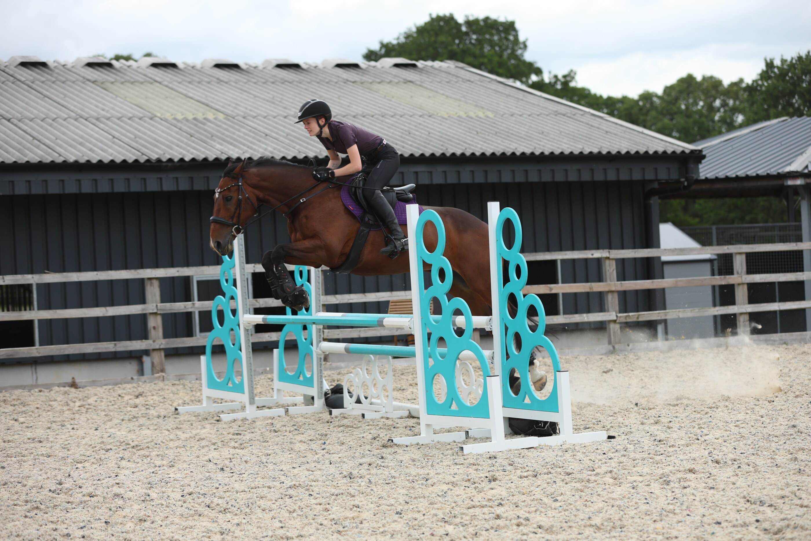 Sophie’s Equine Apprenticeship: Growing Into a Leadership Role